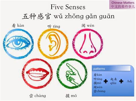 5 senses in chinese 宥名字男